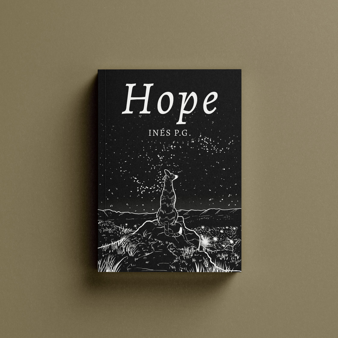 Book Cover
